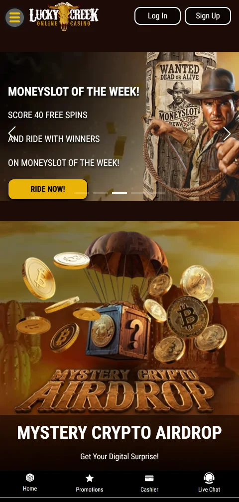 Seguridad y licencia en Lucky Creek Casino México - protección de jugador y certificados