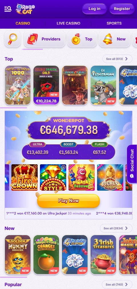 Seguridad y licencias en RoboCat Casino México - encriptación SSL y auditoría de terceros independientes